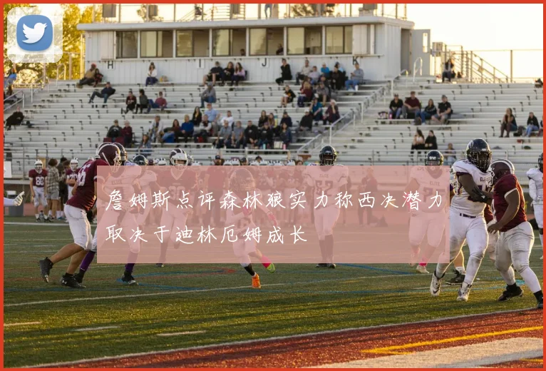 詹姆斯点评森林狼实力称西决潜力取决于迪林厄姆成长